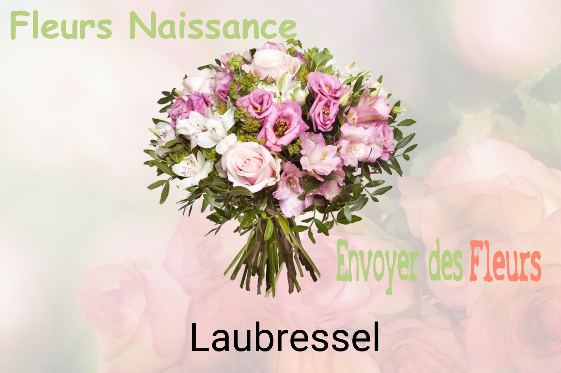 Bouquet de fleurs de naissance livré à Laubressel